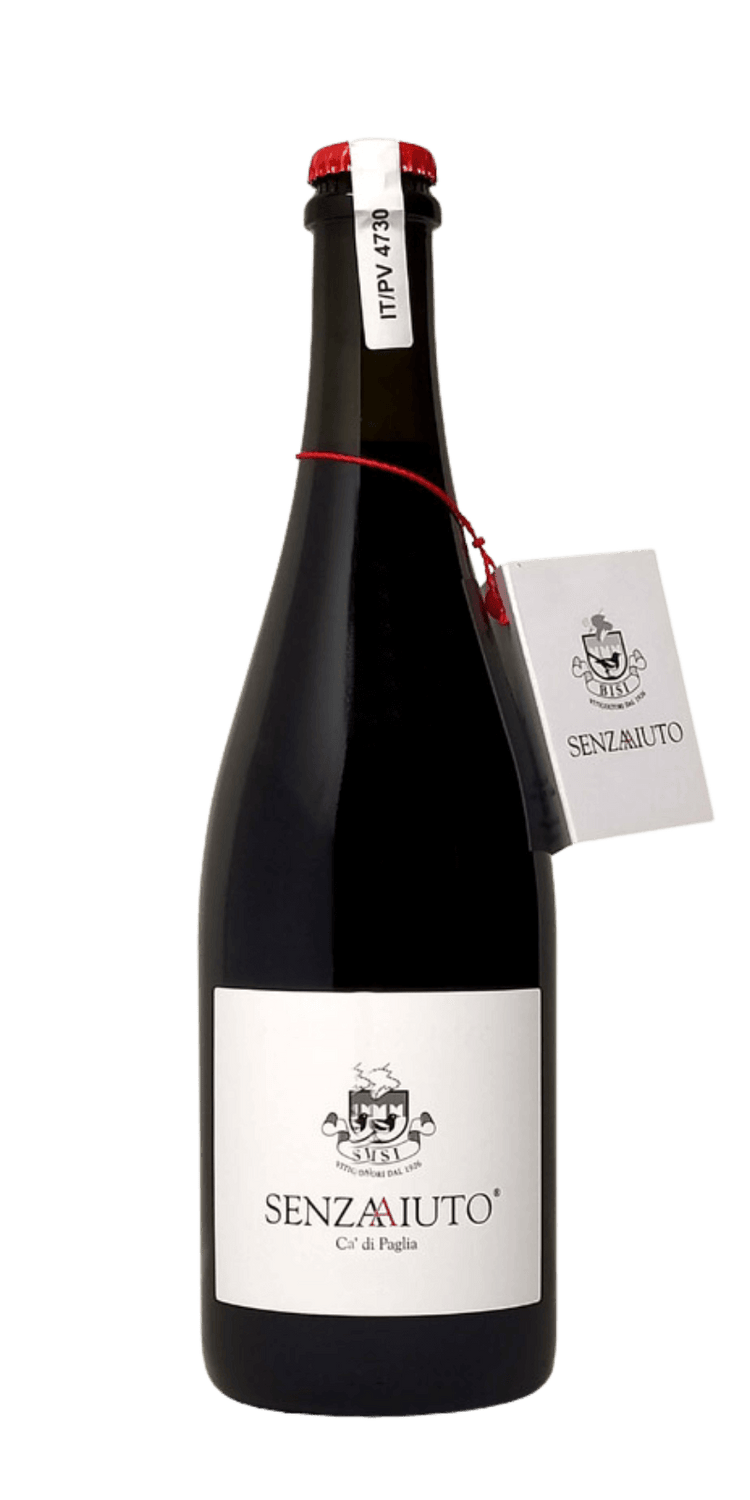 bisi-senzaaiuto-barbera-provincia-di-pavia-igt-senza-solfiti-aggiunti-2019