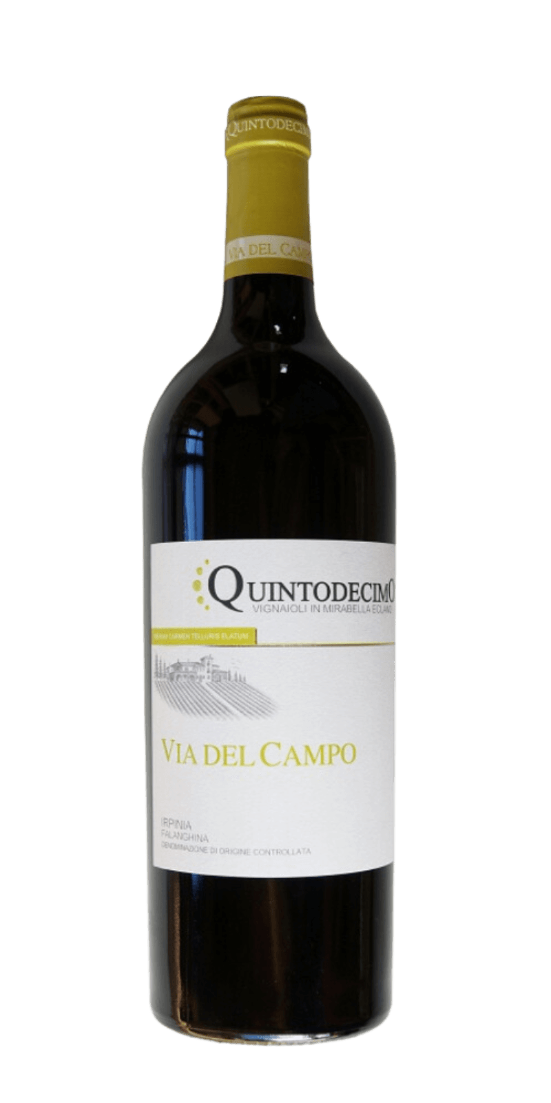quintodecimo-via-del-campo-2016