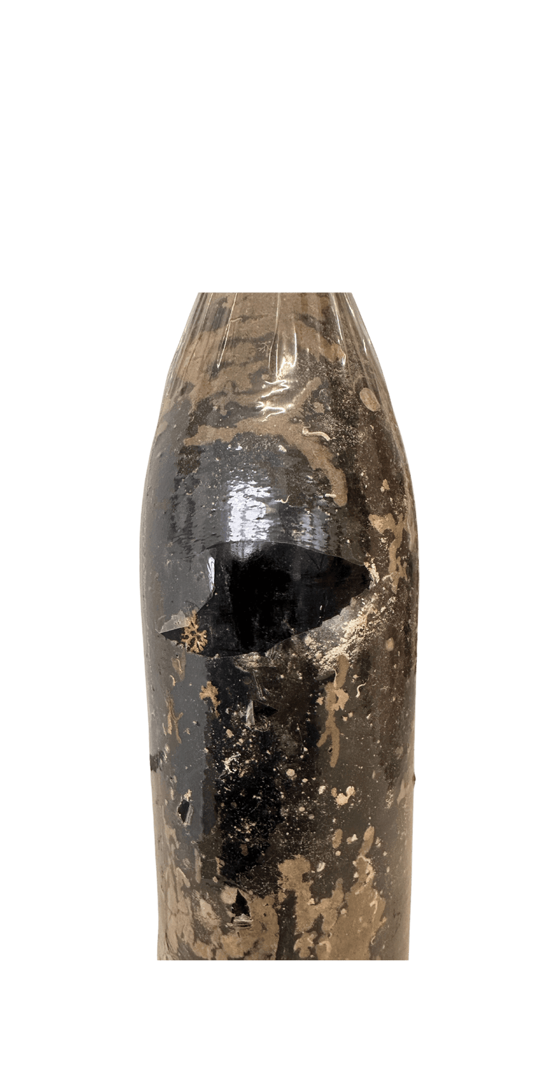 bisson-abissi-metodo-classico-dosage-zero-portofino-doc-2013-magnum