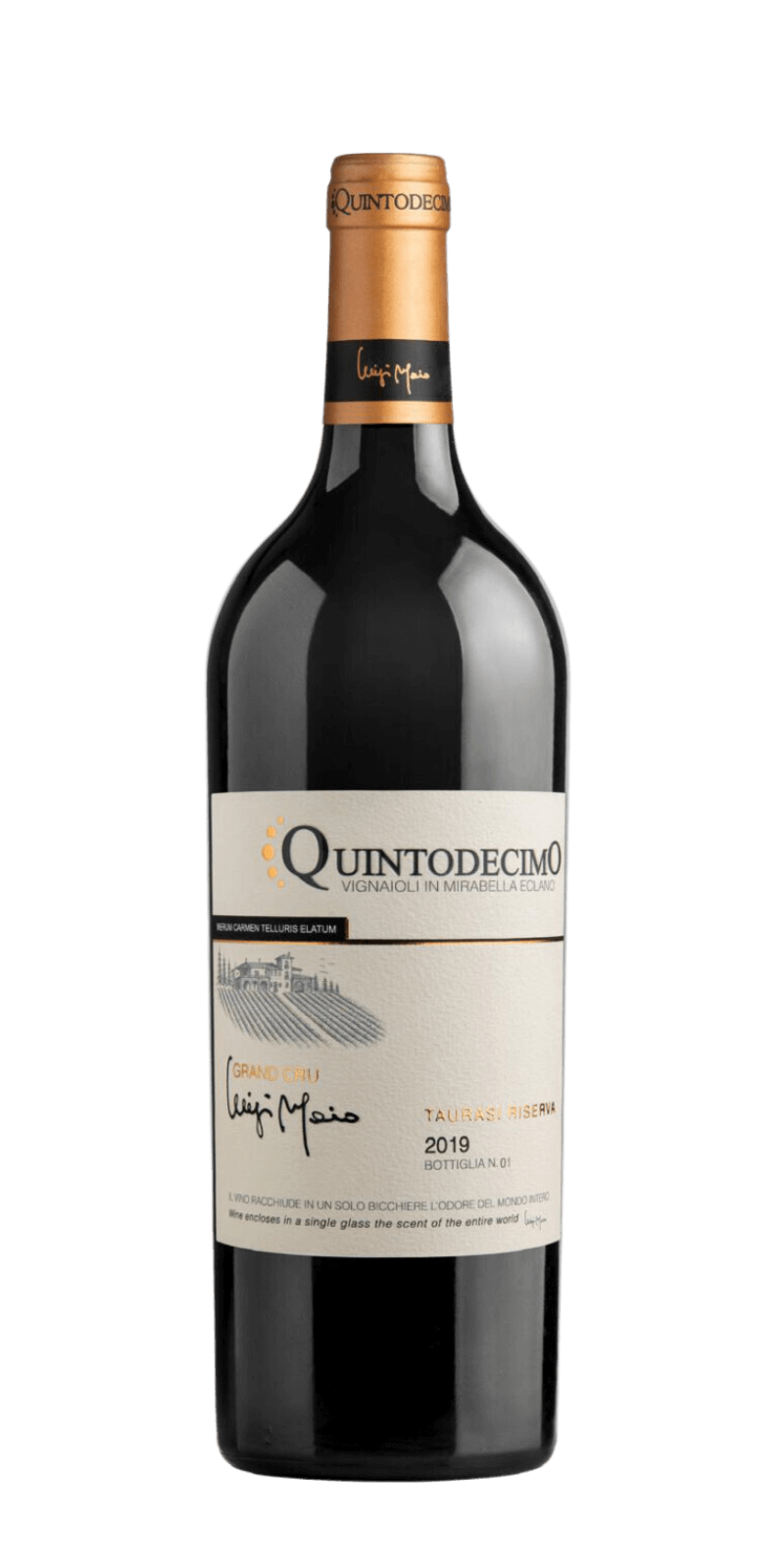 Quintodecimo Gran Cru Luigi Moio Taurasi Riserva 2019 DOCG