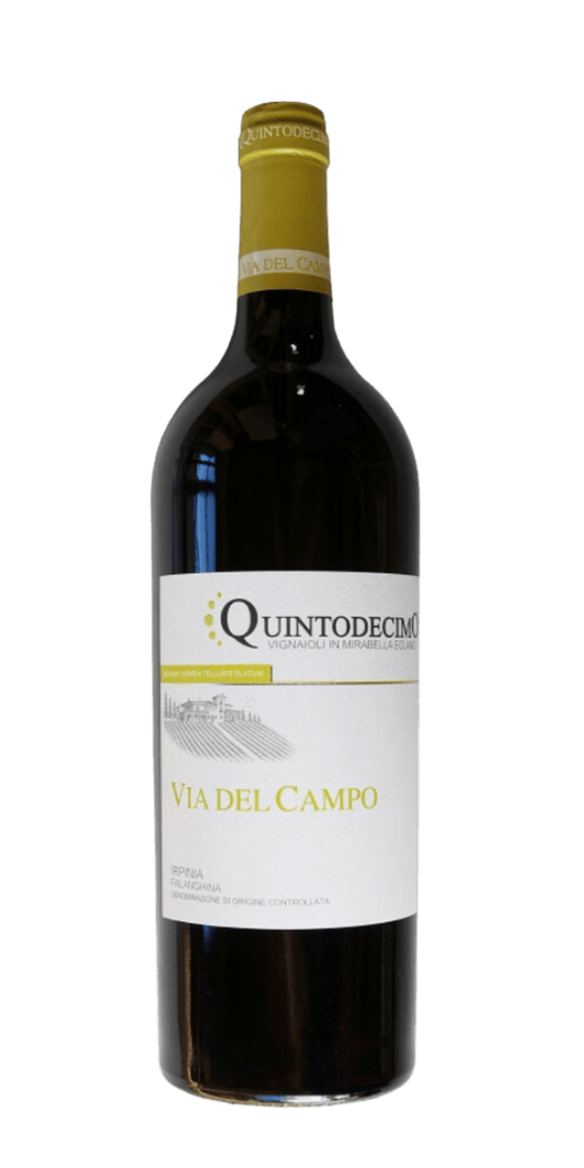 Quintodecimo Via del Campo 2008